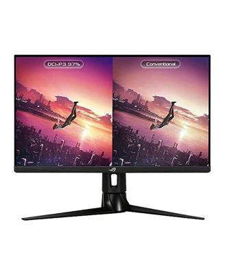 ROG Strix XG27AQMR 27" 16:9 WQHD 300Hz IPS LCD HDR Gaming Monitor, Black
