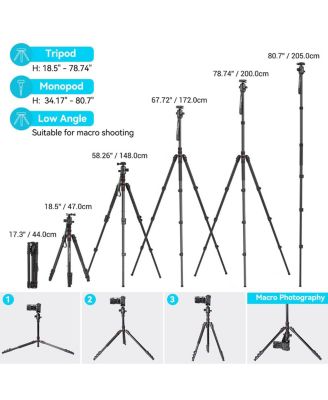 CT-20 4-Section Aluminum Tripod/Monopod with Ball Head, Black