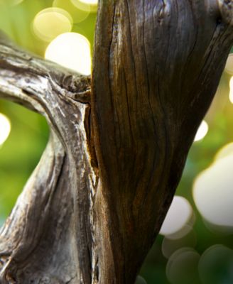 Man Wood Essence Eau de Parfum Spray, 3.4 oz.