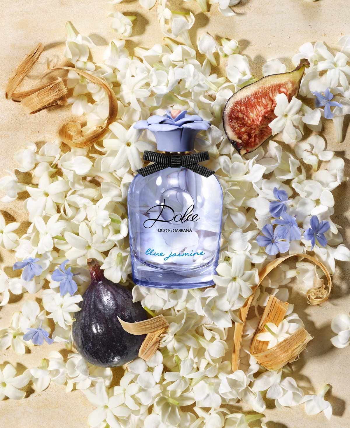 Dolce & Gabbana Dolce 2-pc. Blue Jasmine Eau De Parfum Duo Gift Set In Transparent