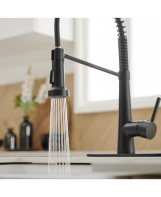 Single-Handle Pull-Down Sprayer 2 Spray High Arc Kitchen Faucet With Deck Plate in Matte Black