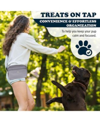 3-in-1 Dog Walk Bag, Travel Bowl, & Reflective Leash with Matching Planet-Safe Dog Poop Bags