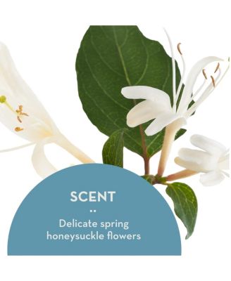 Dream Cream Moisturizer New Zealand Marine and Vitamin C