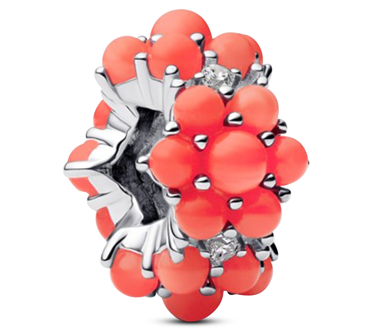 Pandora Coral Ocean Charms In Multi