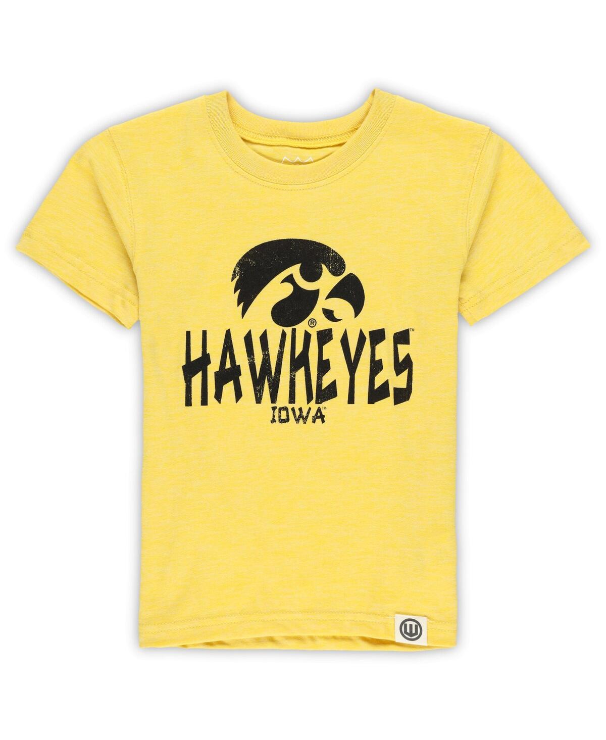 Wes & Willy 2-piece Toddler Iowa Hawkeyes Cloudy Yarn T-shirt And Shorts Set In Multi
