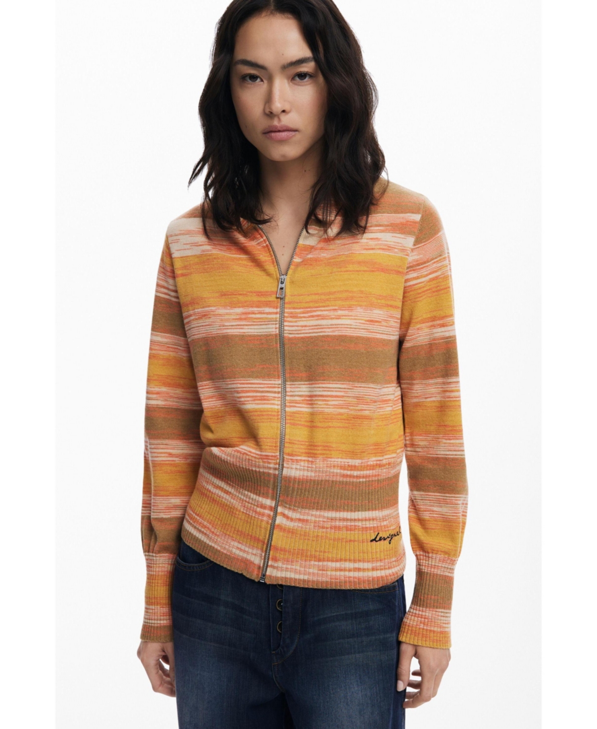 Desigual Women's Striped hoodie with zipper