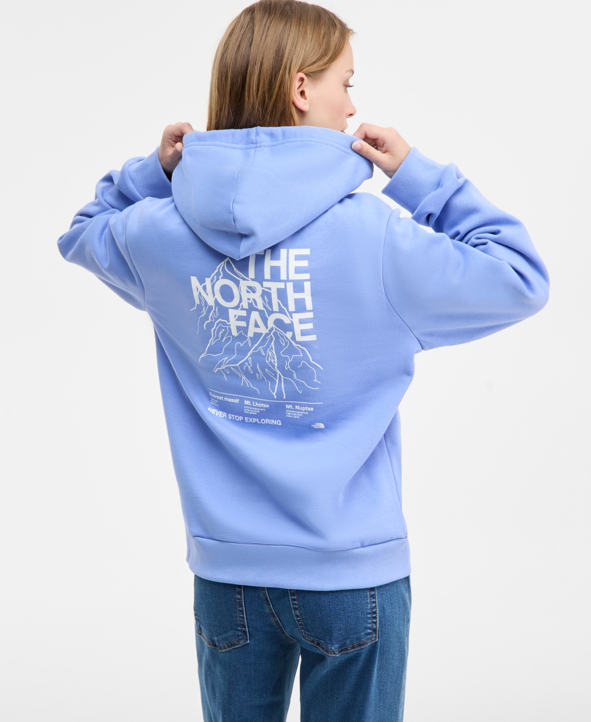 The North Face Women's Evolution Peaks Hoodie In Blue