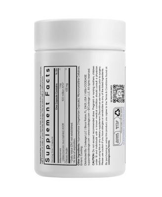 Akkermansia Synbiotic Supplement - 100 Million AFU Akkermansia Probiotic & Chicory Inulin Prebiotic - Chicory Root - 1 Capsule Per Serving - Non-GMO, Gluten-Free - 30 Capsules
