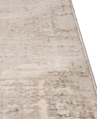 Alloy ALL343 2'6"x4' Area Rug