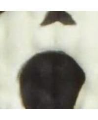 - Ghost Face Micro Figure #007 (Glow in the Dark)