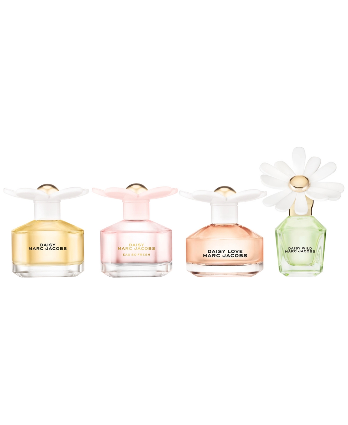 Marc Jacobs 4-pc. Daisy Fragrance Gift Set In Transparent