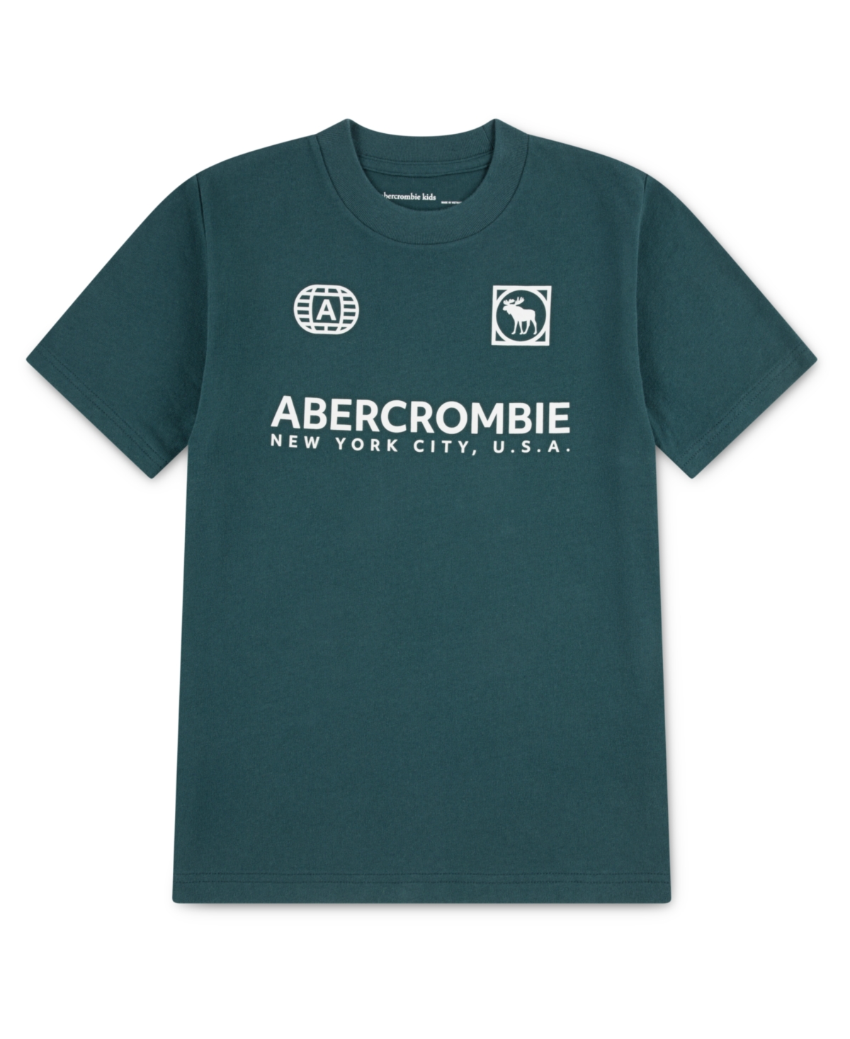 Abercrombie Little And Big Boys Emblems T-shirt In Blue
