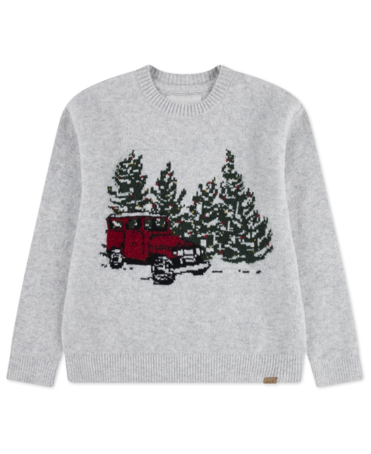 Abercrombie Little And Big Boys Truck Crew Sweater In Multi