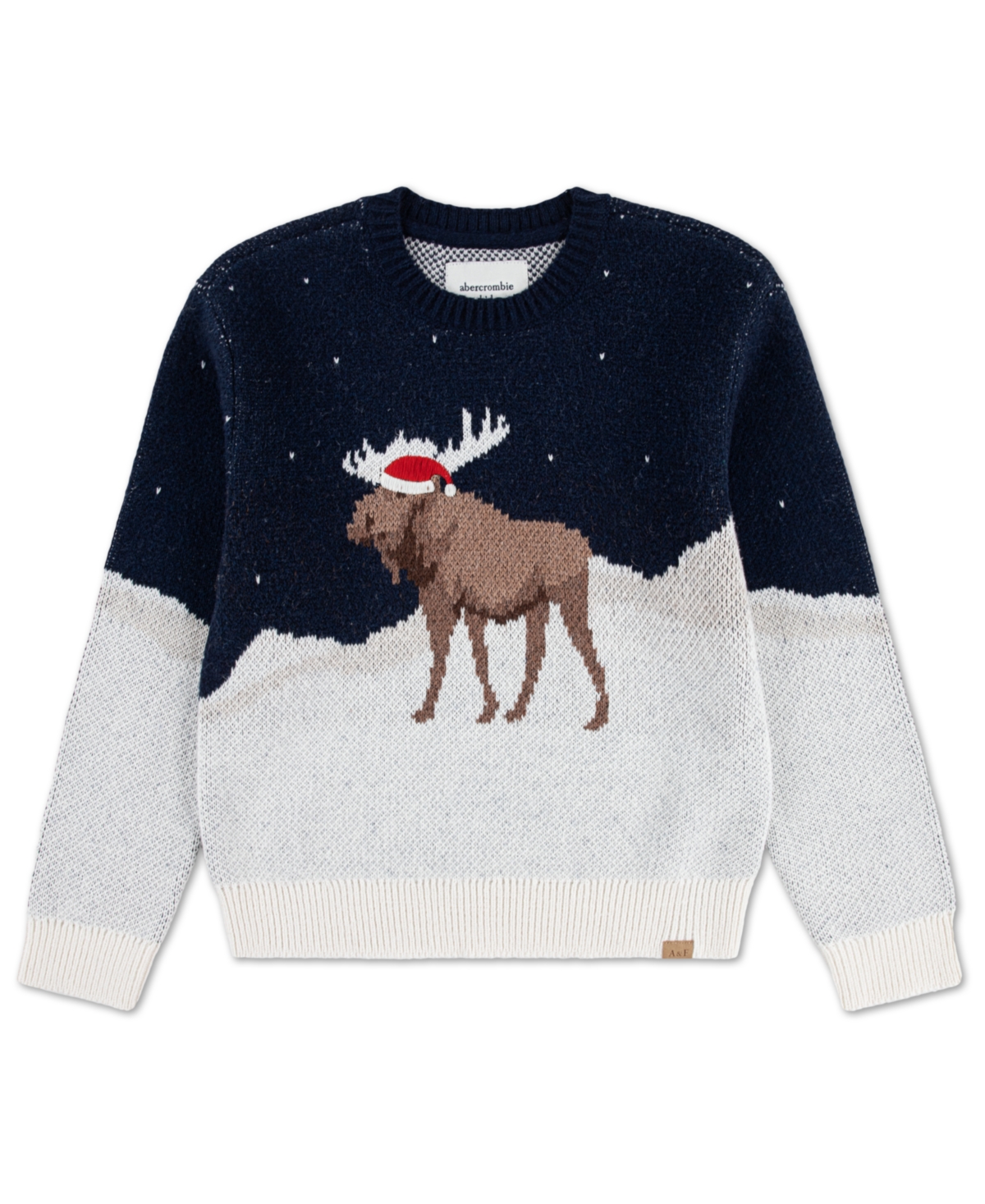 abercrombie kids Little and Big Boys Moose Crew Sweater