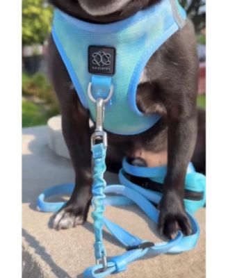 3-in-1 City Dog Leash