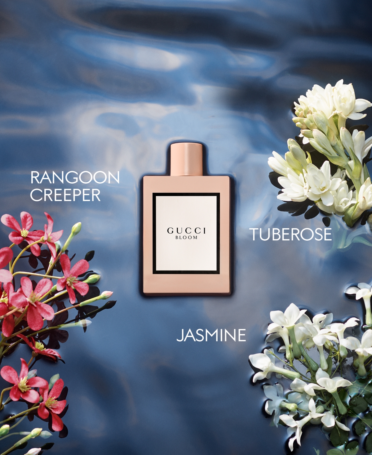Gucci 2-pc. Bloom Eau De Parfum Gift Set In Transparent