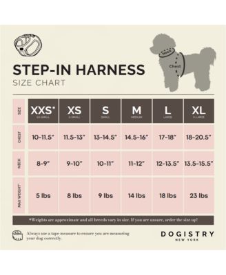 The AIR Harness - Ocean