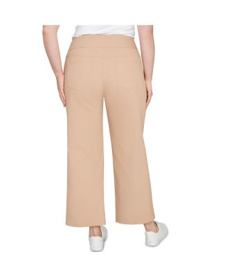Plus Size Embroidered Stretch Pull On Pants