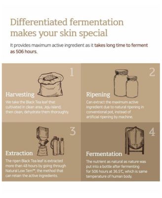 Kombucha Gyeol-Biome Ampoule (50ml)