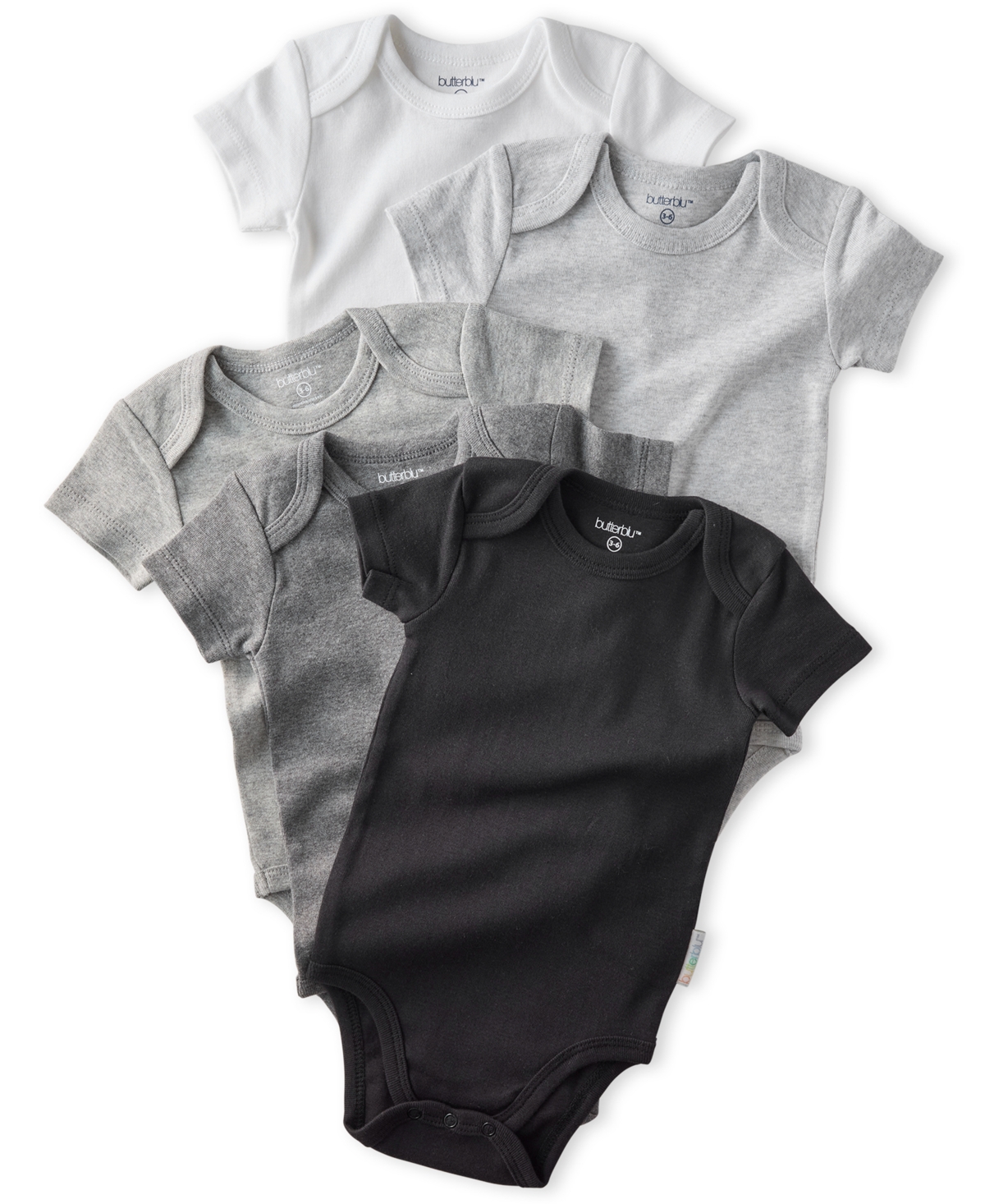 Butterblu Baby 5-piece Short Sleeve Bodysuits In Multi