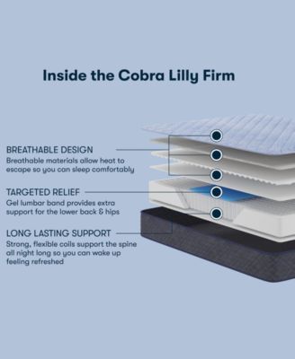 Perfect Sleeper Cobra Lily 10.5" Firm Tight Top Mattress, Full