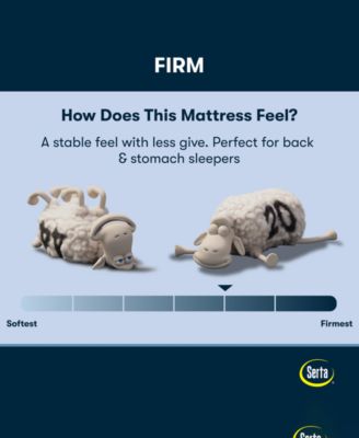 Perfect Sleeper Cobra Lily 10.5" Firm Tight Top Mattress Set, Full