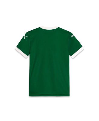 Big Boys and Girls Green SE Palmeiras 2025/26 Home Replica Jersey