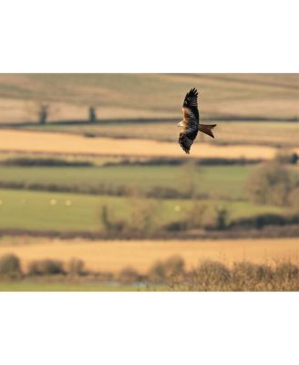 300-600mm f/4 DG OS Sports Lens for Sony E, White