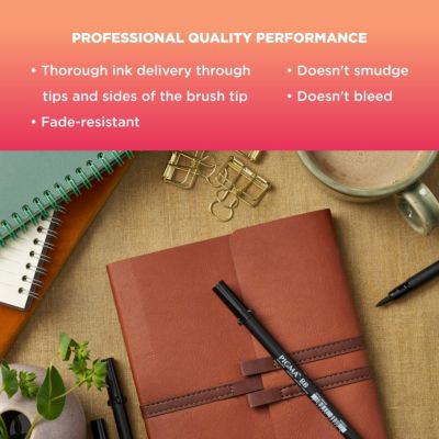 Pigma Professional Archival Ink Brush Pens