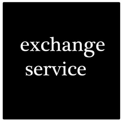 DS-RX1HS 6" Dye Sublimation Printer, 290 4x6" Prints Per Hour - BUNDLE - with 4x6" Media, 700 Prints Per Roll, 2 Rolls and Protective Carrying