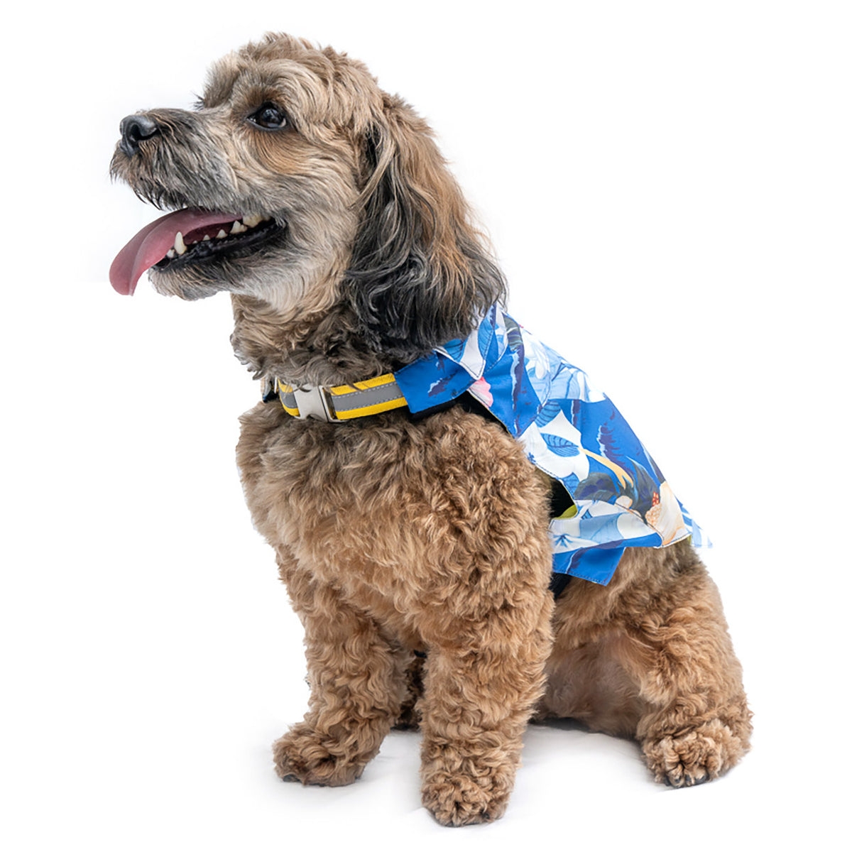 Tommy Bahama Pet Pet Tommy Bahama Pet Hawaiian Shirt & Apparel Harness