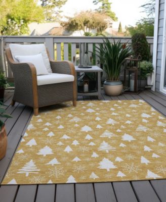 Holiday Washable Indoor/Outdoor ACN1815 3'x5' Area Rug