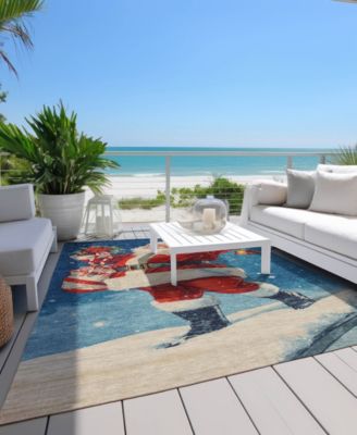 Holiday Washable Indoor/Outdoor ACN1807 3'x5' Area Rug