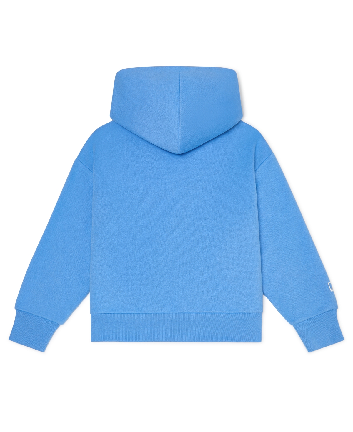 Color Lab Unisex 2t-6x Pull-on Printed Long Sleeve Hoodie In Blue