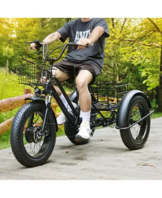 Electric Tricycle E-Trike with 4.0 Fat Tire, 500W Motor & 25-Mile Range for Snow and Rough Roads