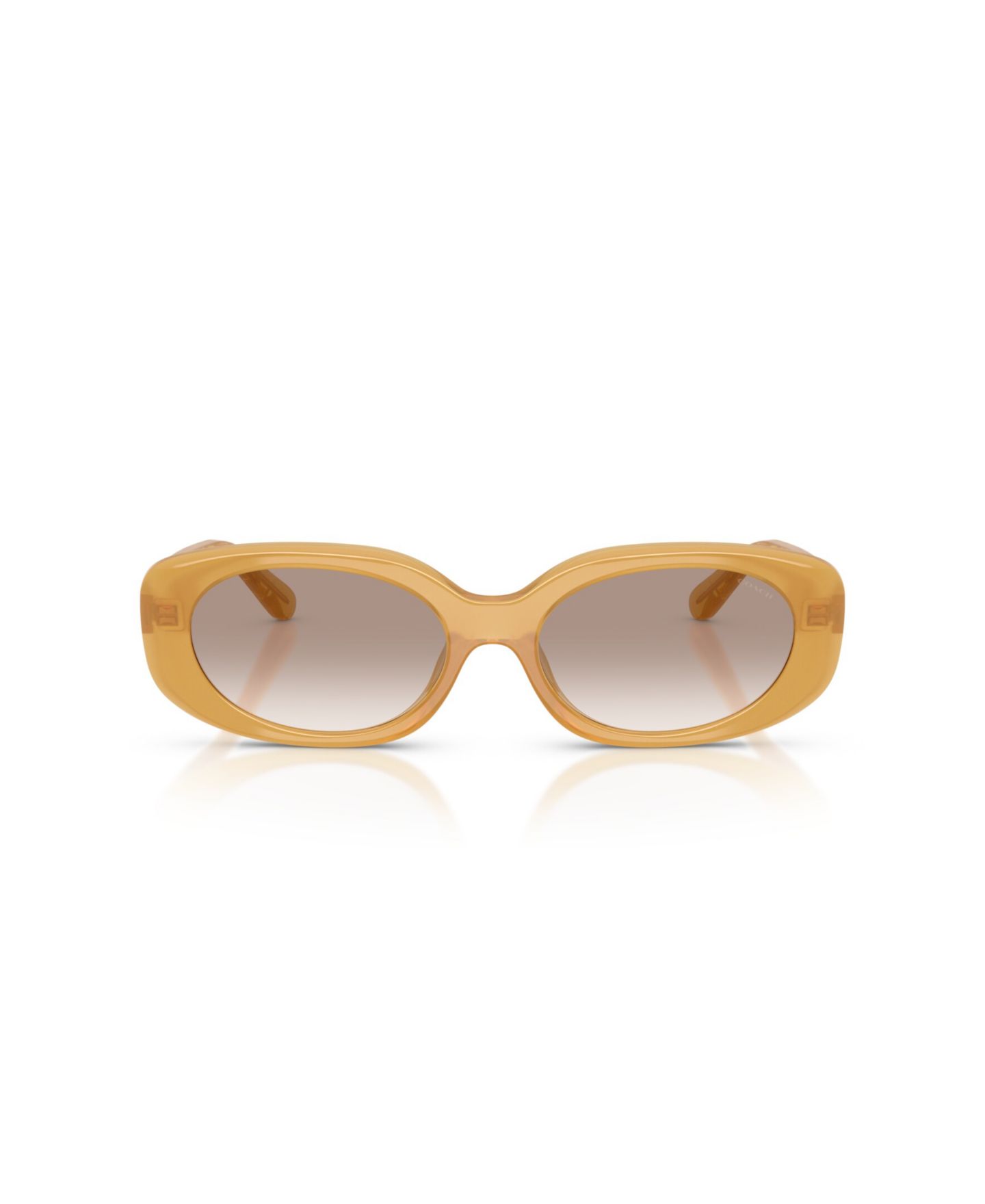 Женские солнцезащитные очки COACH Oval Sunglasses, CBY84 HC8443D, цвет: Чёрный — фото 17