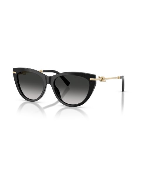 Женские солнцезащитные очки Tiffany & Co. Cat Eye Sunglasses, TF4253, цвет: Чёрный