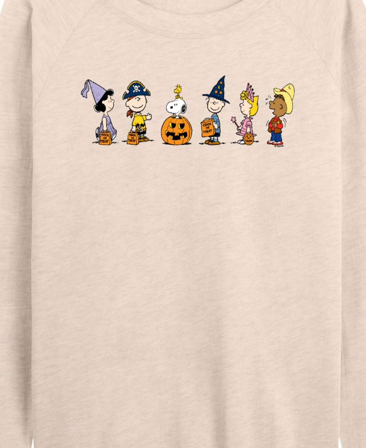 Hybrid Apparel Peanuts Gang Halloween Trick Or Treat Women's French Terry Long Sleeve Shirt In Neutral