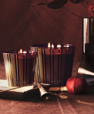 Plum and Cinnamon Fragrance 3-Wick Candle, 21.2 oz.