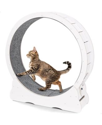 43.3'' Cat Wheel for Indoor Cats