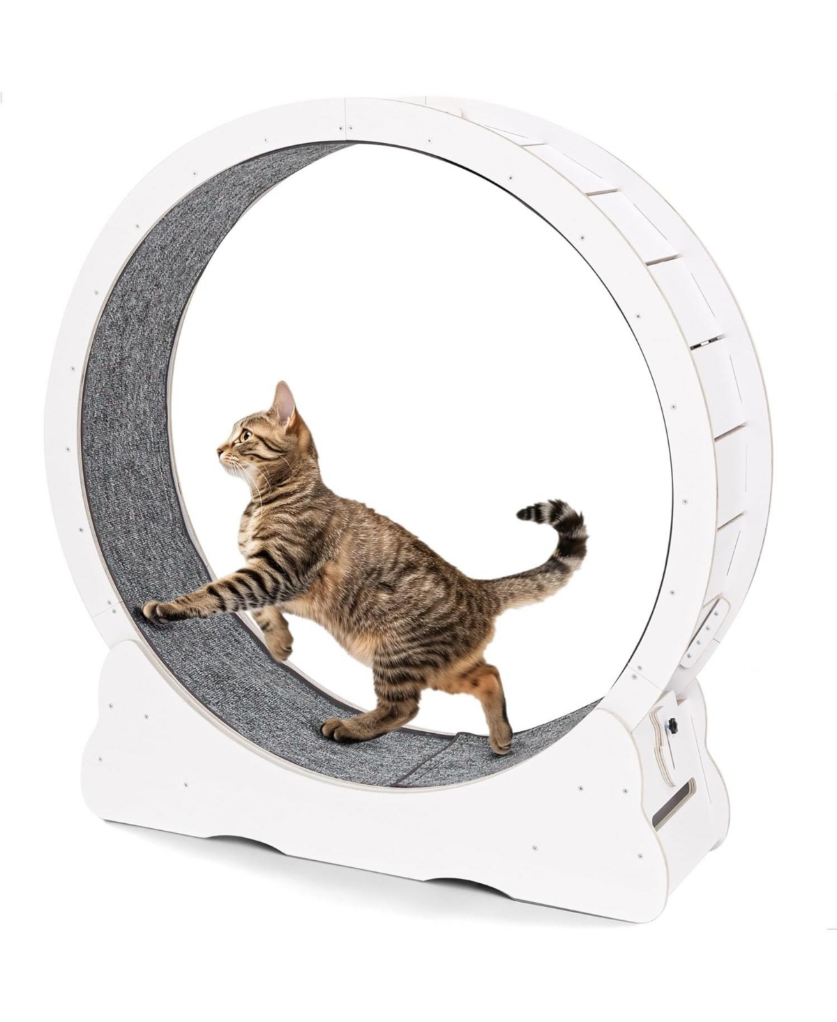 Aecojoy 43.3'' Cat Wheel for Indoor Cats