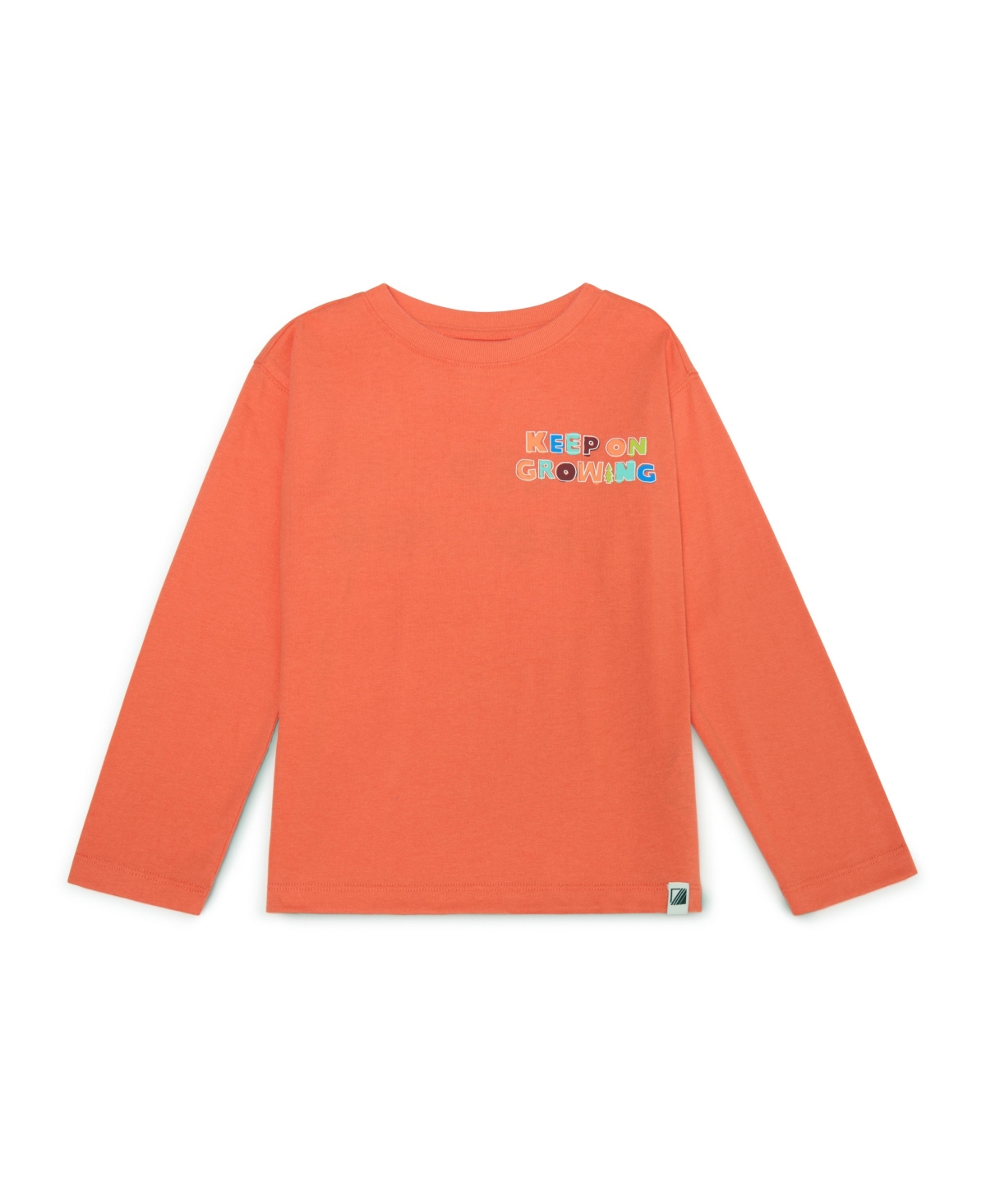 Color Lab Boys 2-10 Printed Long-sleeve T-shirt In Orange