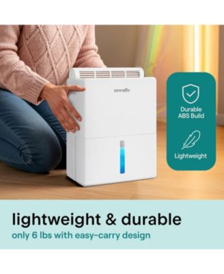 2-in-1 Portable Dehumidifier with Removable Cylinder & Drying Base