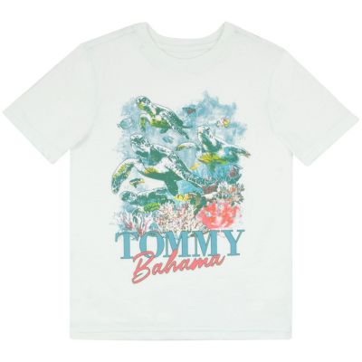 Boys 2 Piece Casual Crewneck T-Shirt Bundle Set