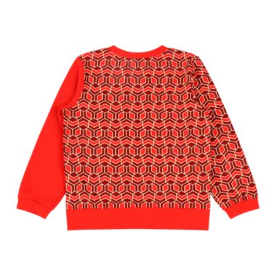 Boys Crewneck Sweatshirt and Jogger Pants Set - Red Multicolor