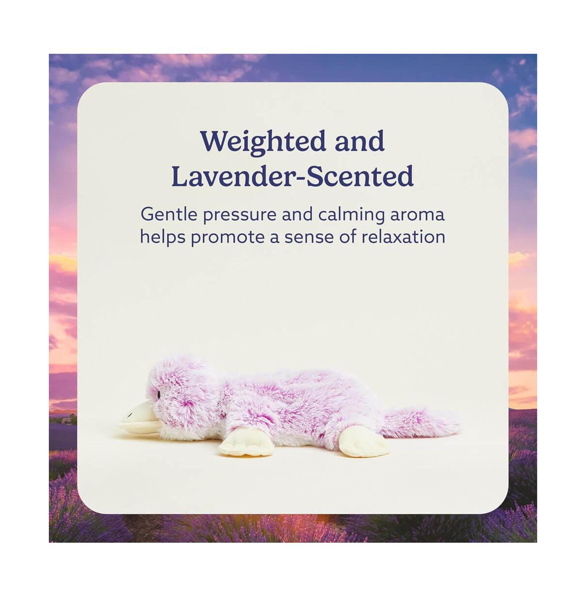 Warmies Microwavable French Lavender Scented Plush Platypus