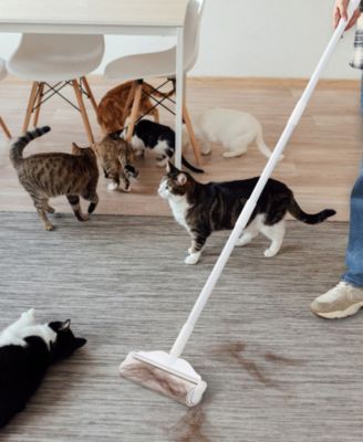 StickyPro XL Lint Roller Adjustable Length with Extra Wide Head