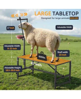600 lbs Capacity Adjustable Goat Trimming Stand with Headpiece and Feed Bin – Foldable Grooming and Milking Platform