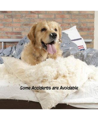 Pet Adobe 4-Panel Indoor Foldable Pet Gate, White