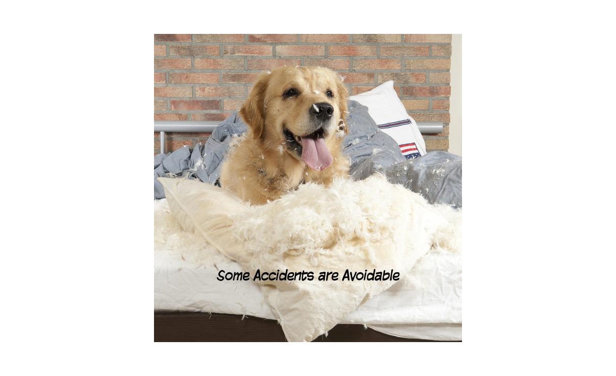 Pet Adobe 4-Panel Indoor Foldable Pet Gate